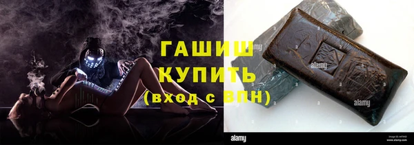 сатива Беломорск