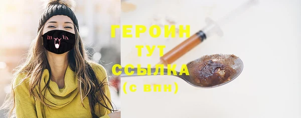 сатива Беломорск