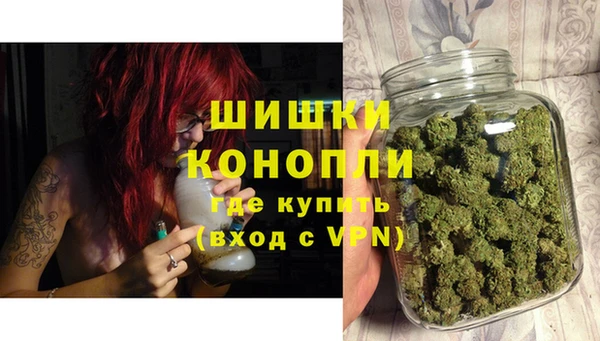 сатива Беломорск