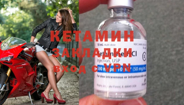 сатива Беломорск