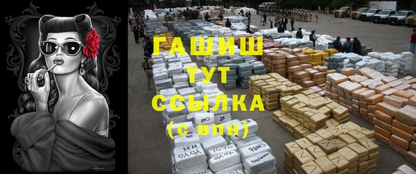 амф Белокуриха