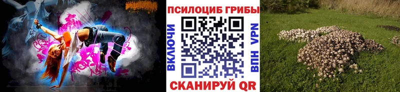 shop как зайти  как найти наркотики  Бирюсинск  Галлюциногенные грибы мицелий 